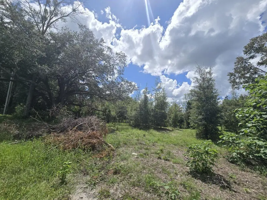St. Paul Dr, Spring Hill, FL 34610 - #2