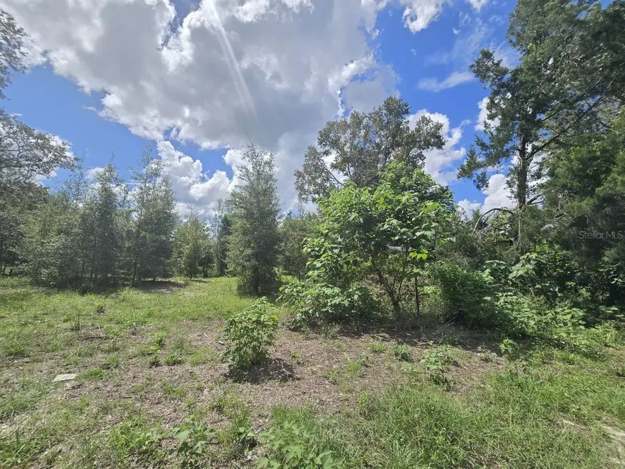 St. Paul Dr, Spring Hill, FL 34610 - #3