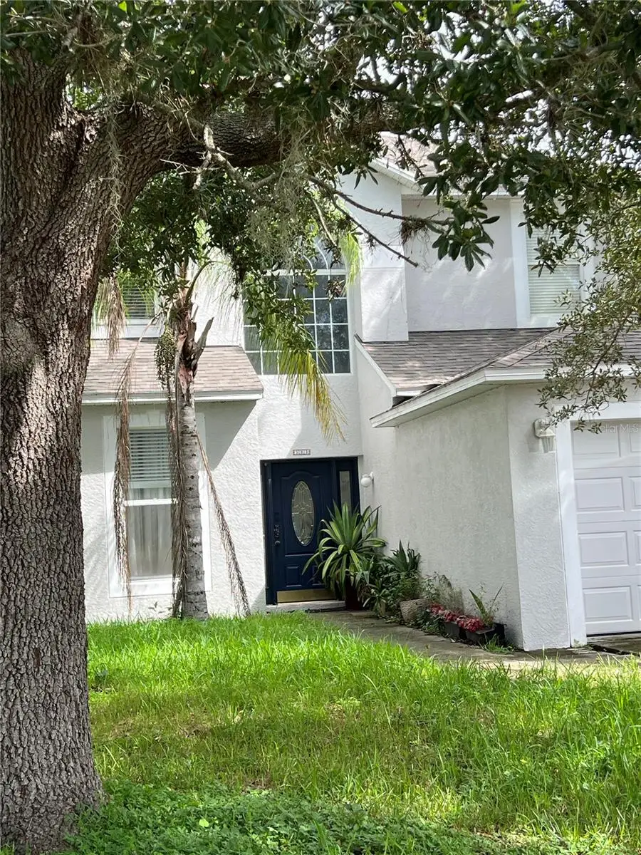 31803 Loch Aline Drive, Wesley Chapel, FL 33545 - #3
