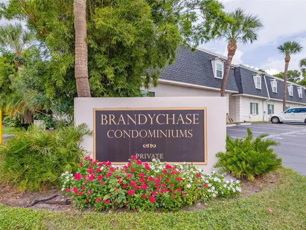 4325 Aegean Drive #130B, TAMPA, FL 33611
