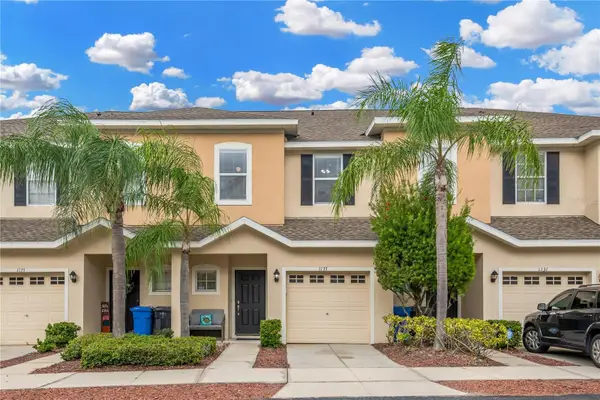 1133 Andrew Aviles Circle, TAMPA, FL 33619