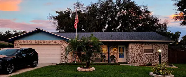 3833 Twilight Drive, VALRICO, FL 33594
