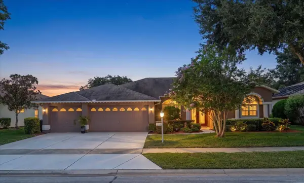 1237 Rambling Vine Court, TRINITY, FL 34655