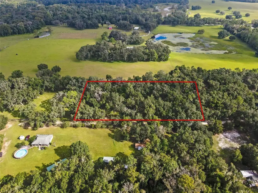 17445 Palmer Lane, Spring Hill, FL 34610 - #2