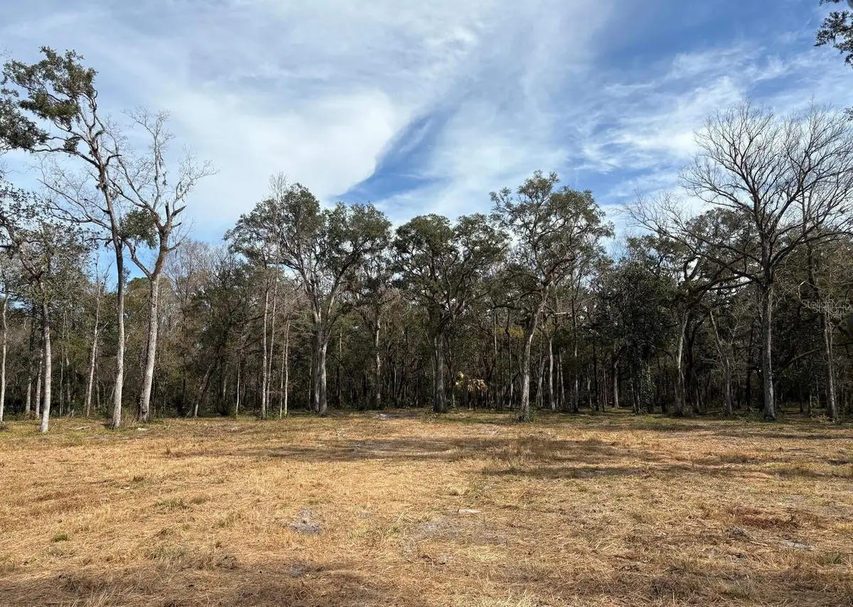 Lake Lindsey Road, Brooksville, FL 34601 - #1