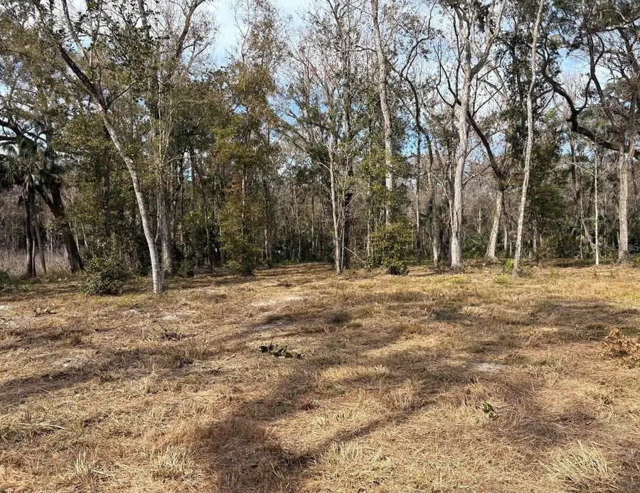 Lake Lindsey Road, Brooksville, FL 34601 - #2