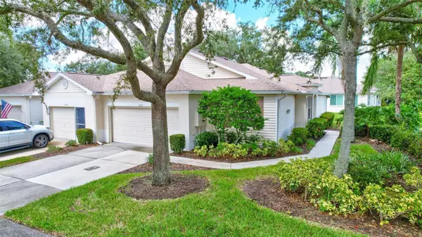 2620 Newcomb Court, SUN CITY CENTER, FL 33573