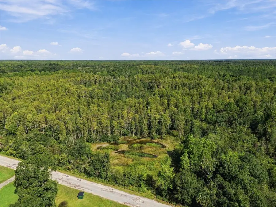 26633 Pheasant Run, Wesley Chapel, FL 33544 - #3