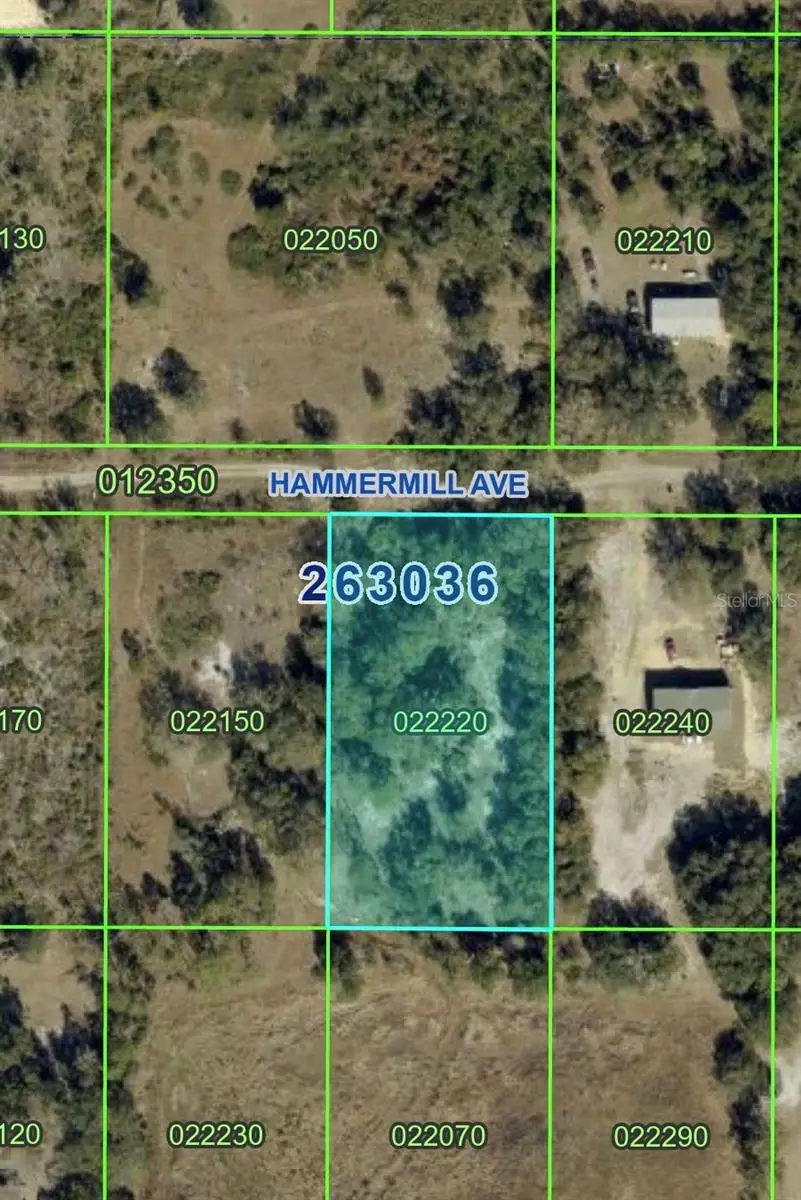 Hammermill Avenue, Lake Wales, FL 33859 - #1