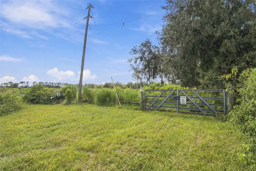8989 Ehren Cutoff, Land O Lakes, FL 34639 - #2