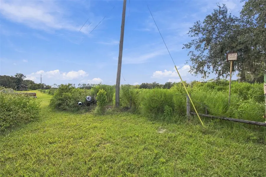 8989 Ehren Cutoff, Land O Lakes, FL 34639 - #3