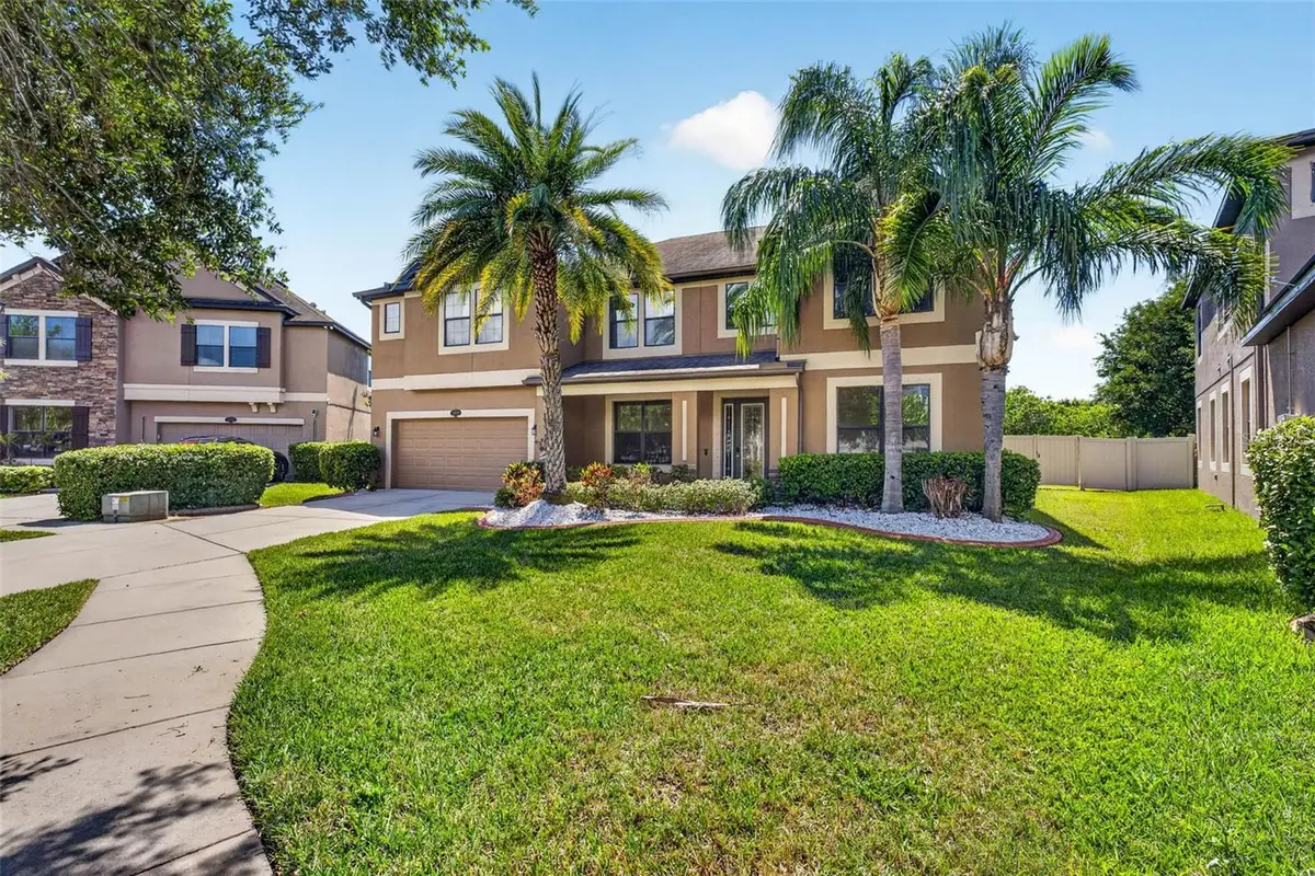 11603 Palmetto Pine Street, Riverview, FL 33569 - #1