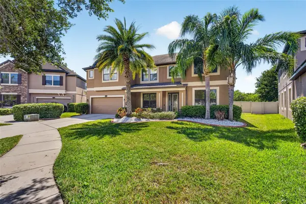 11603 Palmetto Pine Street, RIVERVIEW, FL 33569
