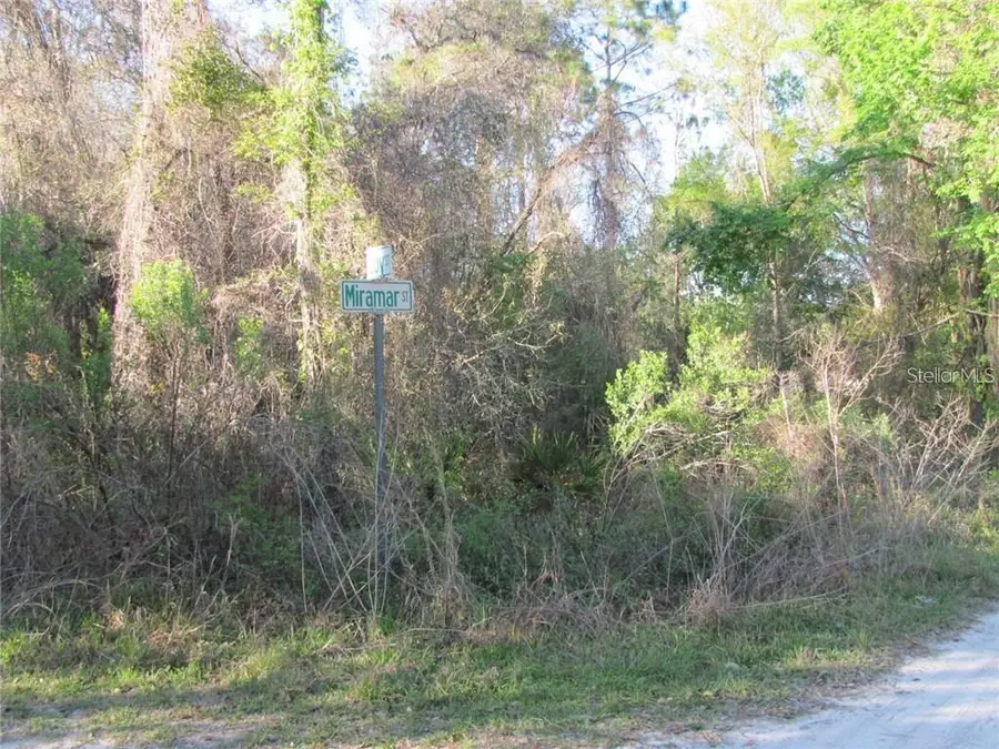 9917 Miramar Street, New Port Richey, FL 34654 - #2