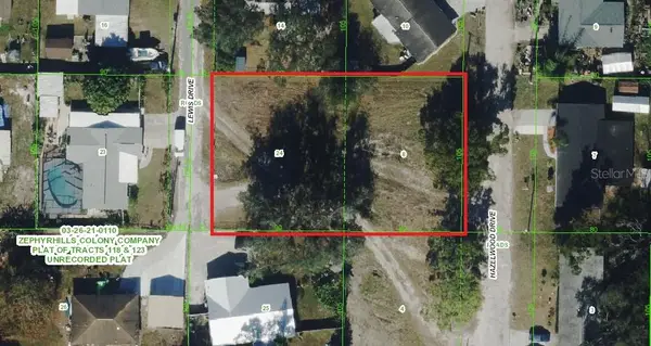 6042 Lewis Drive, ZEPHYRHILLS, FL 33542