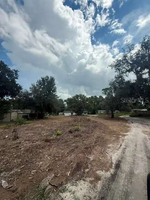 6042 Lewis Drive, Zephyrhills, FL 33542 - #2