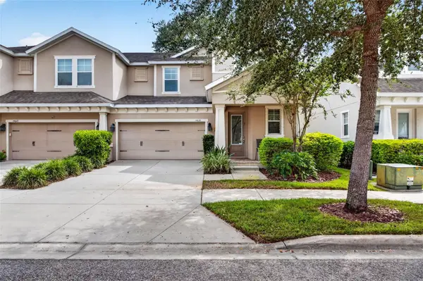 14619 Rocky Brook Drive, TAMPA, FL 33625