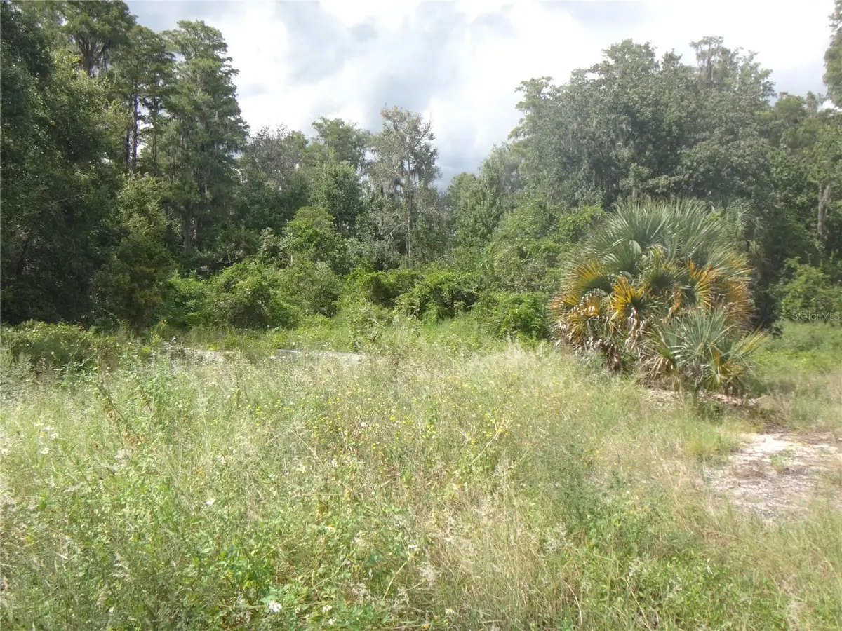 Tamarind Drive, Lake Wales, FL 33898 - #1