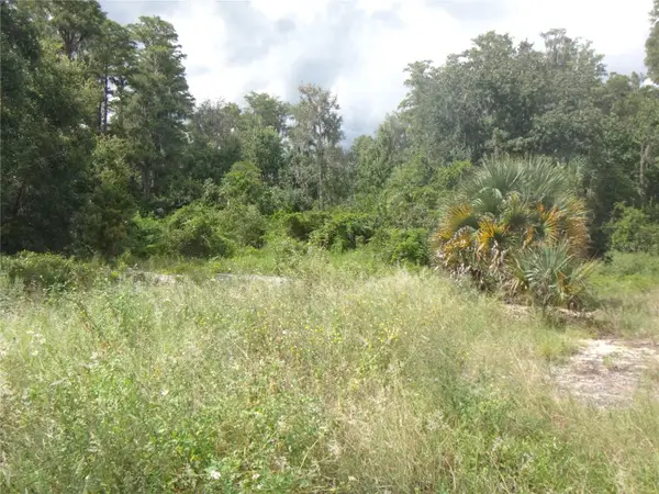 Tamarind Drive, LAKE WALES, FL 33898