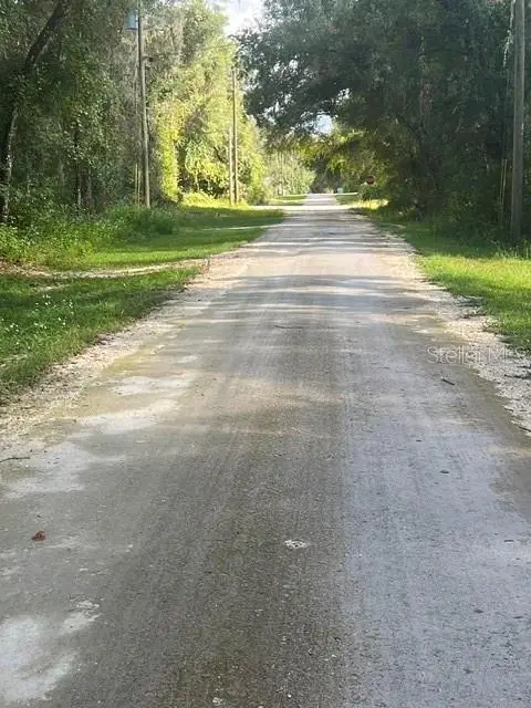 Elaine Drive, Webster, FL 33597 - #2