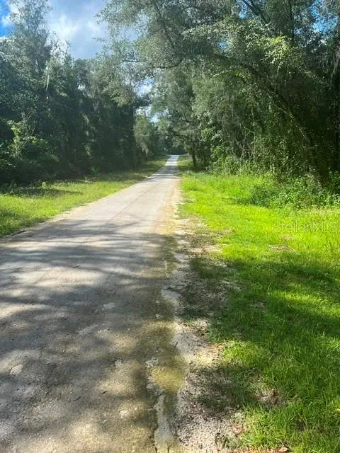 Elaine Drive, Webster, FL 33597 - #3