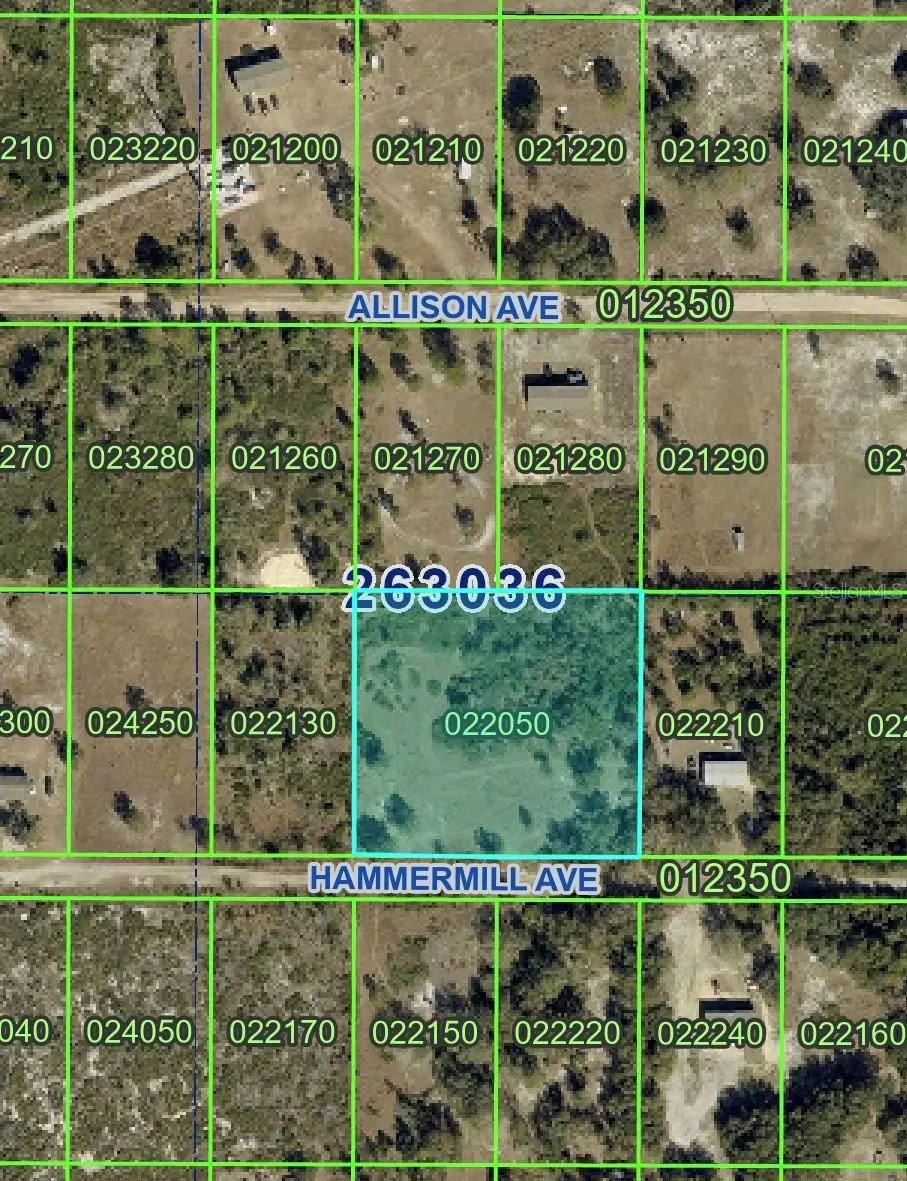 Hammermill Avenue, Lake Wales, FL 33859 - #1