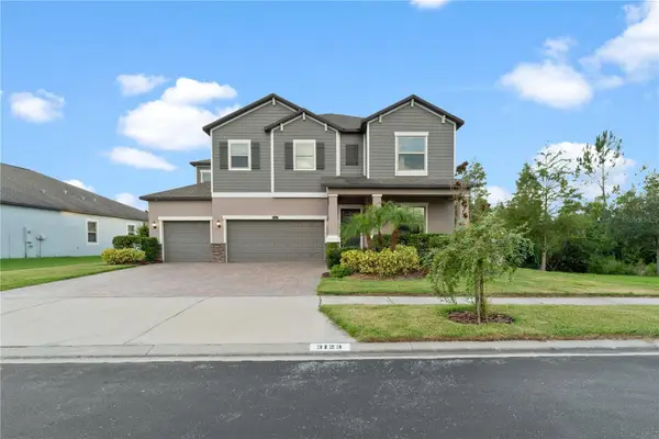 3123 Hilliard Dr, WESLEY CHAPEL, FL 33543