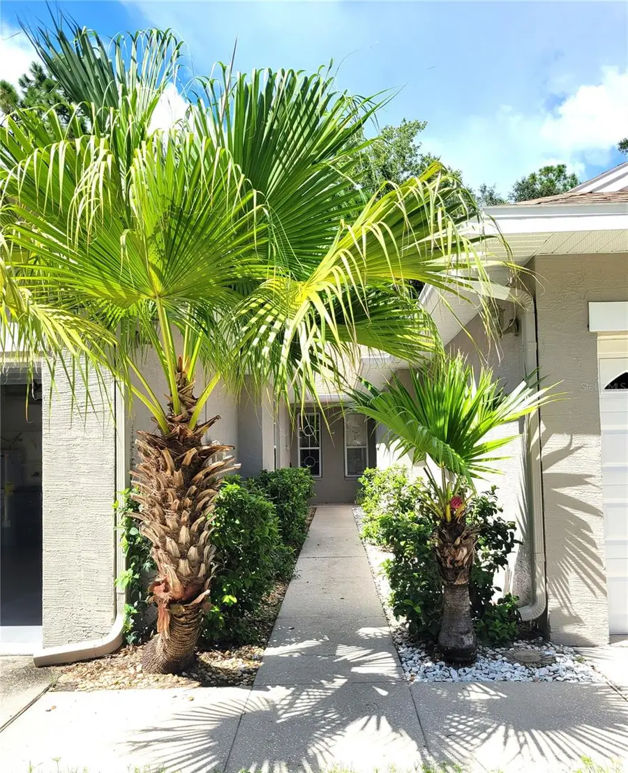4343 Lakeshore Drive, Palm Harbor, FL 34685 - #2