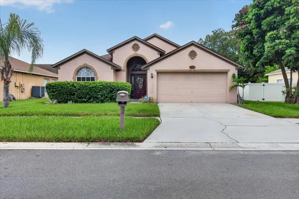 5336 Watson Road, RIVERVIEW, FL 33578