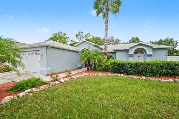 6293 Grapewood Road, SPRING HILL, FL 34609