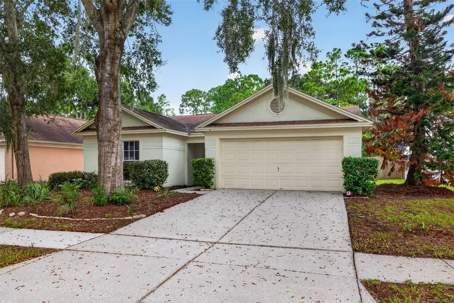 1016 Hardwood Drive, Valrico, FL 33596 - #3