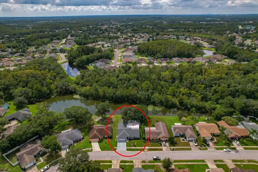 28710 Twinbrook Lane, Wesley Chapel, FL 33543 - #2