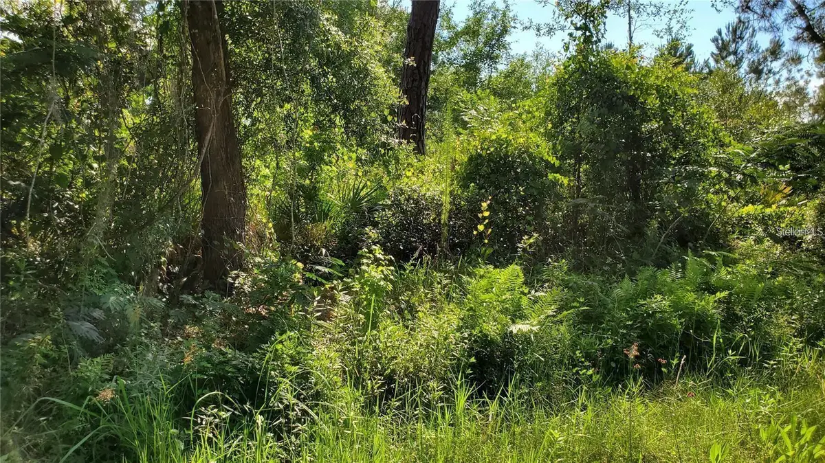 103 Bowfin Drive, Satsuma, FL 32189 - #1