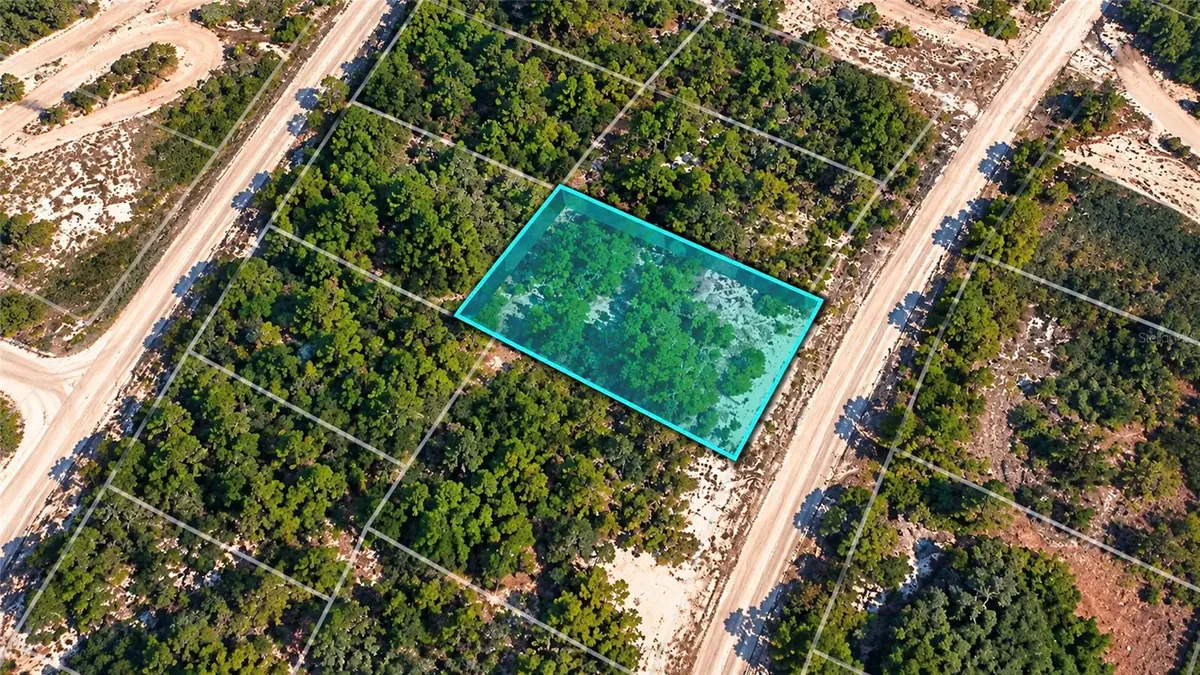 316 Dargen Drive, Lake Placid, FL 33852 - #1