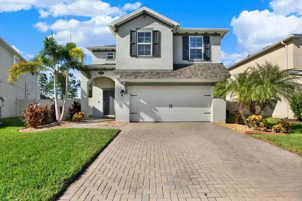 19272 Roseate Drive, LUTZ, FL 33558