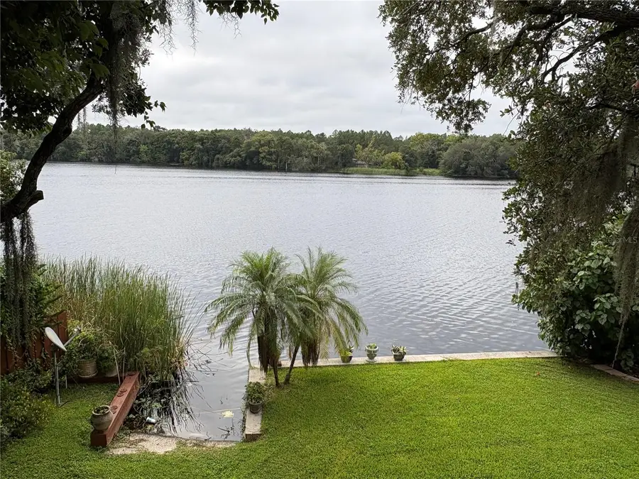 4223 E Riverhills Drive, Tampa, FL 33617 - #3