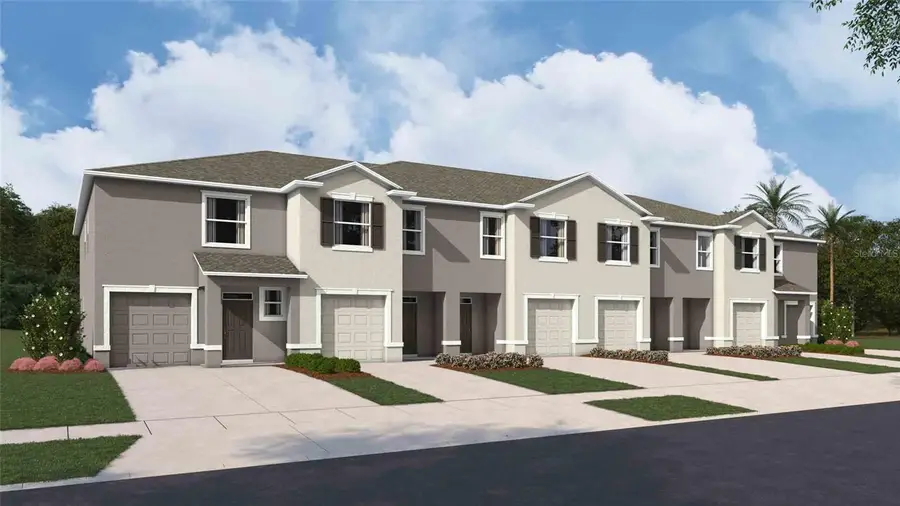 31197 Paper Birch Street, Wesley Chapel, FL 33545 - #3