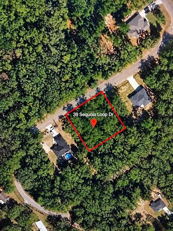 Lot 39 SE Sequoia Loop Drive, OCKLAWAHA, FL 32179