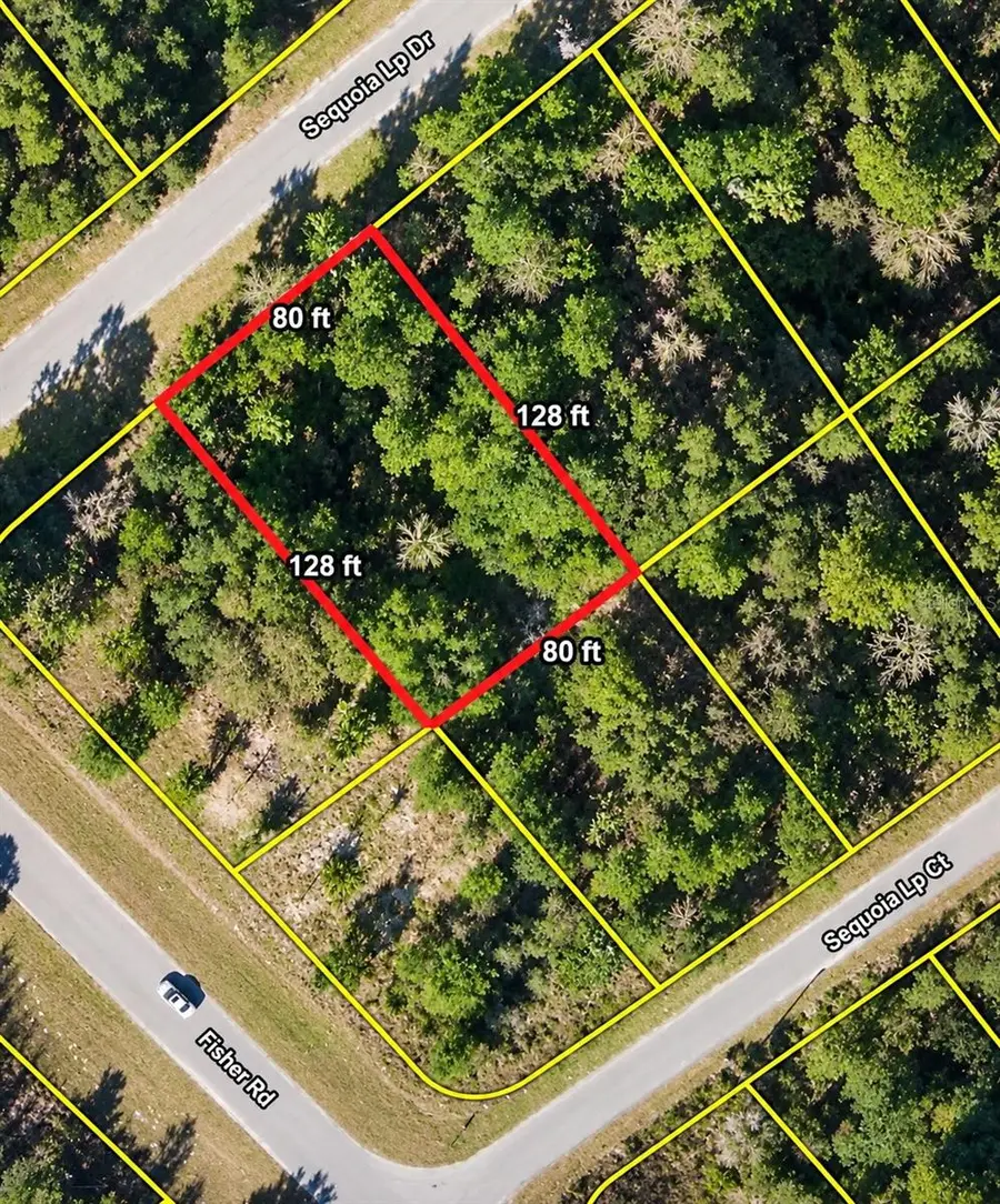 Lot 39 SE Sequoia Loop Drive, Ocklawaha, FL 32179 - #2