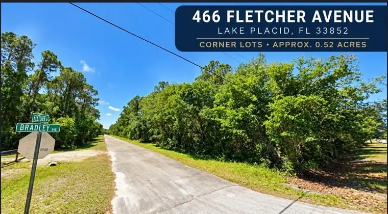 466 Fletcher Avenue, Lake Placid, FL 33852 - #1