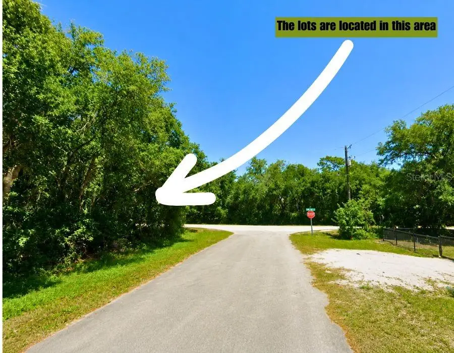 466 Fletcher Avenue, Lake Placid, FL 33852 - #2