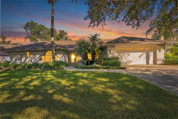 16508 Blenheim Drive, LUTZ, FL 33549