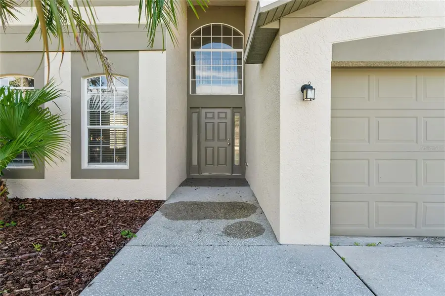 9138 Lost Mill Drive, Land O Lakes, FL 34638 - #3
