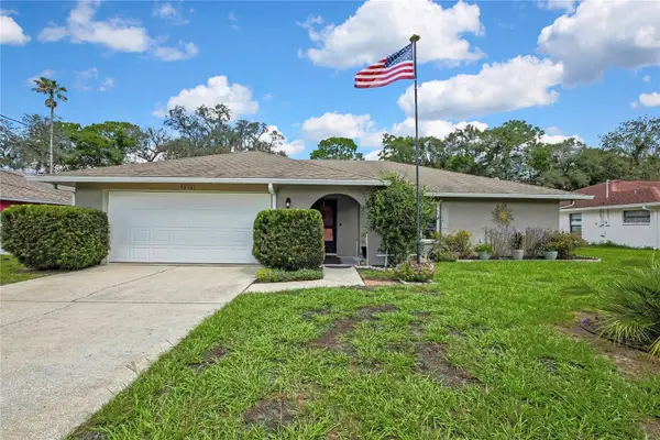 9273 Belvedere Street, SPRING HILL, FL 34608
