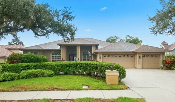 3763 Executive Drive, PALM HARBOR, FL 34685