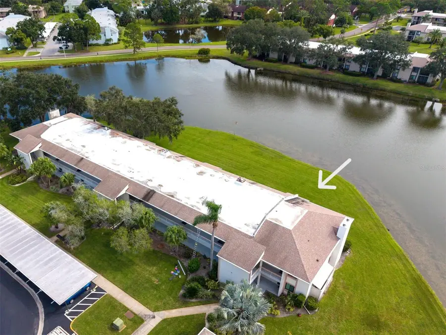 151 Lakeview Way #151, Oldsmar, FL 34677 - #3
