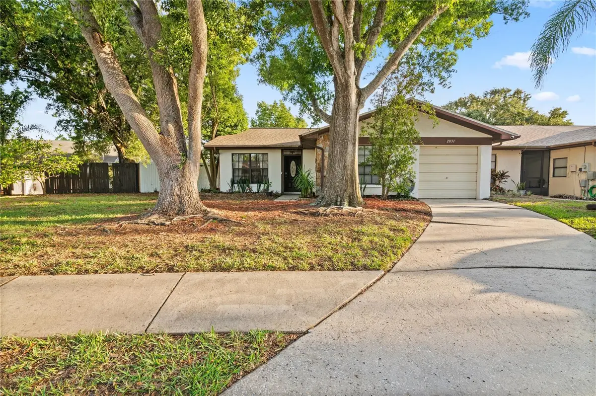 2031 Dover Court, Oldsmar, FL 34677 - #1