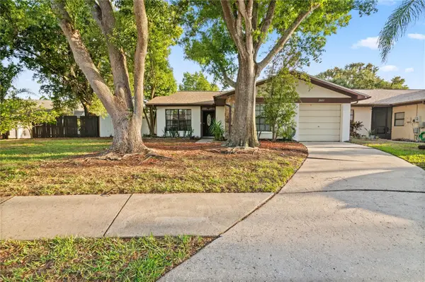 2031 Dover Court, OLDSMAR, FL 34677