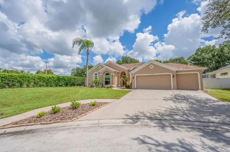 1001 Split Silk Street, Valrico, FL 33594 - #3