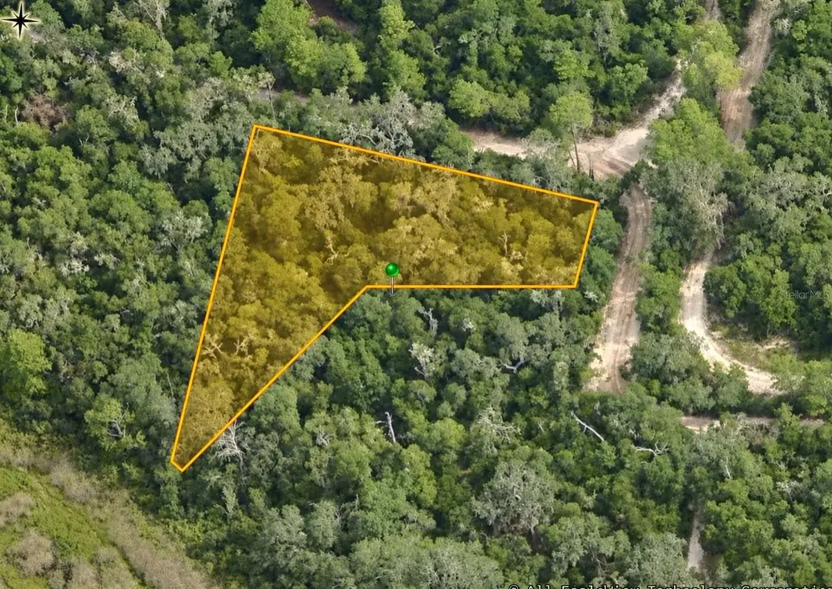 10136 E Tuliptree Drive, Inverness, FL 34450 - #1